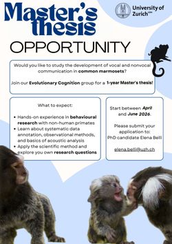 1-year Master's thesis project on marmosets ontogeny