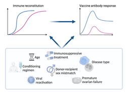 Toward personalized vaccinology for allogeneic hematopoietic cell transplant recipients
