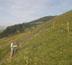 Effects of Irrigation on Grassland Communities in the Lower Engadin Valley