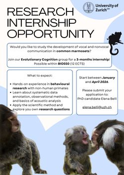 Research internship in Evolutionary Anthropology