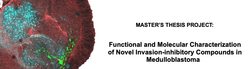 Functional and Molecular Characterization of Novel Invasion-inhibitory Compounds in Medulloblastoma